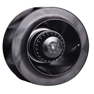 AC Fanlar Seyrek Kantalı